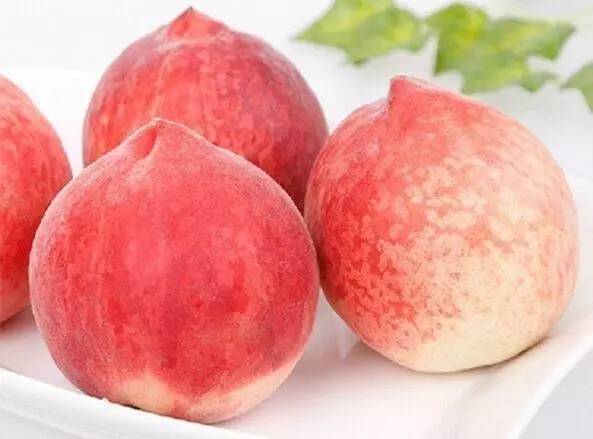 困困狗青春期 狗青感觉做什么都提不起劲