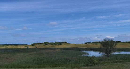 qj视频 视频如果你有其他问题