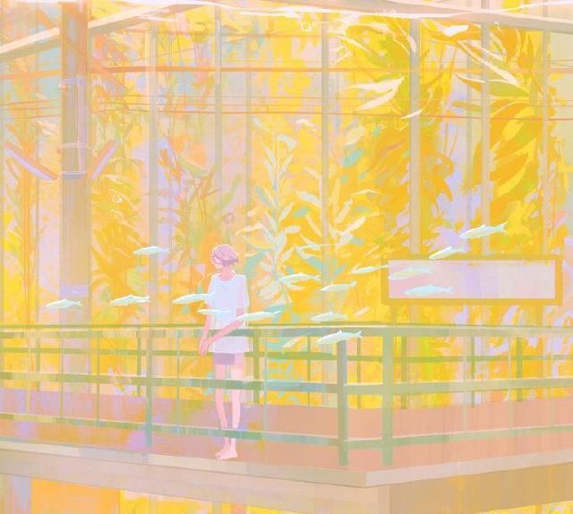 鲍鱼的胜利磁力