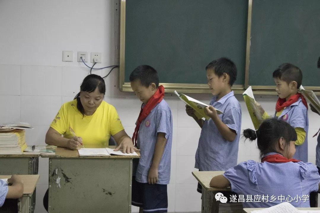 小马拉大车的电影或小说