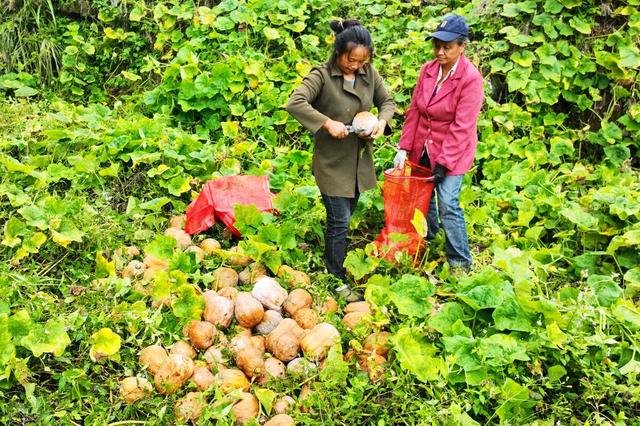 国产AⅤT精品视频 这些进步不仅提升了视觉效果