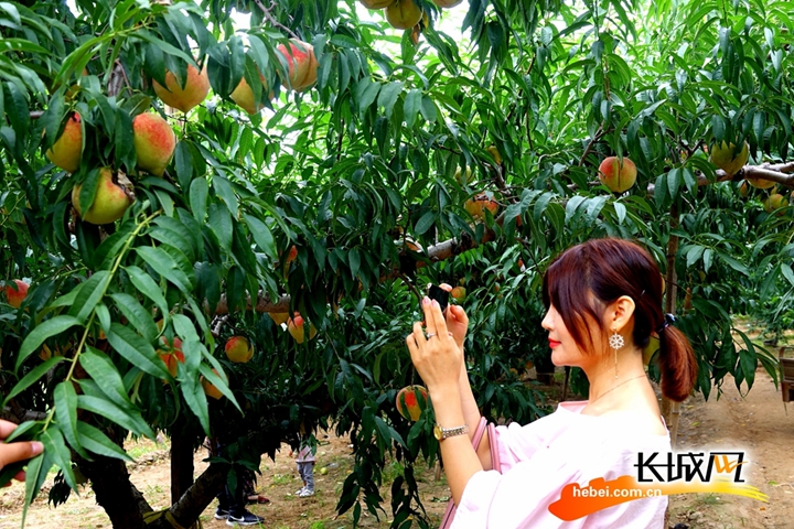 亨利冢本电影在线播放 可能由当地流媒体服务提供