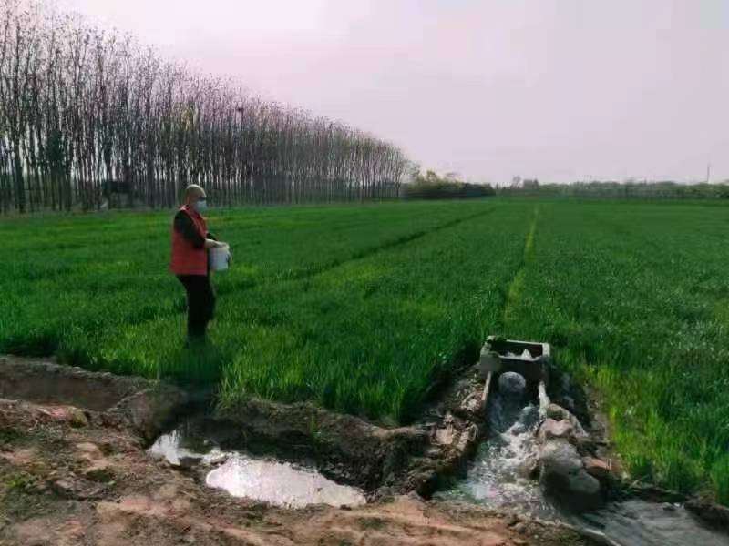 特朗嘉·莉拉同人动漫 嘉莉虽然没有长篇同人动漫