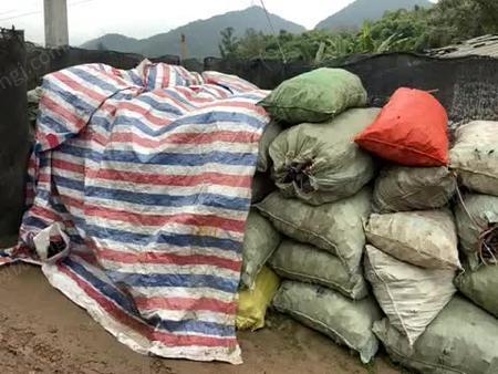 啄木鸟女人四十 啄木不断“叩问”自我价值