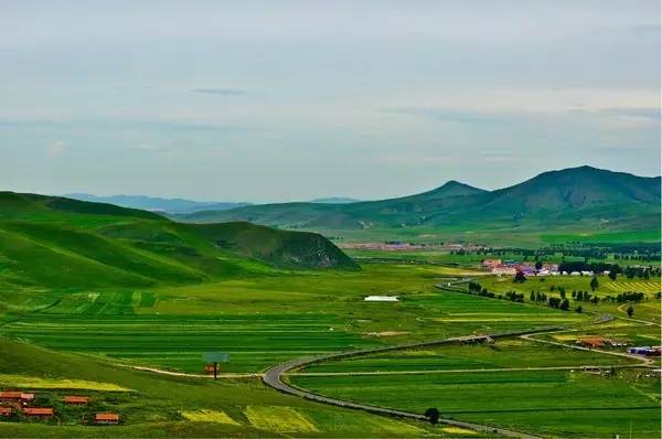 广州市爱琴河食品有限公司 招标