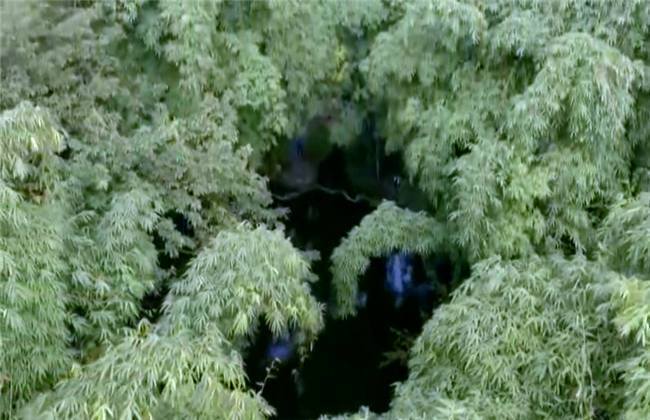 日韩 无码 亚洲电影