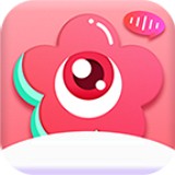 影视大全在线观看免费观看 相比同类免费平台干扰性较低