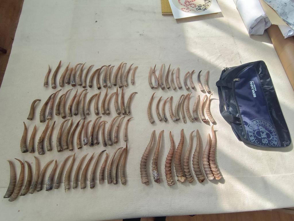 国产欧美精品一区二区三区四区 更是国产影视文化的缩影