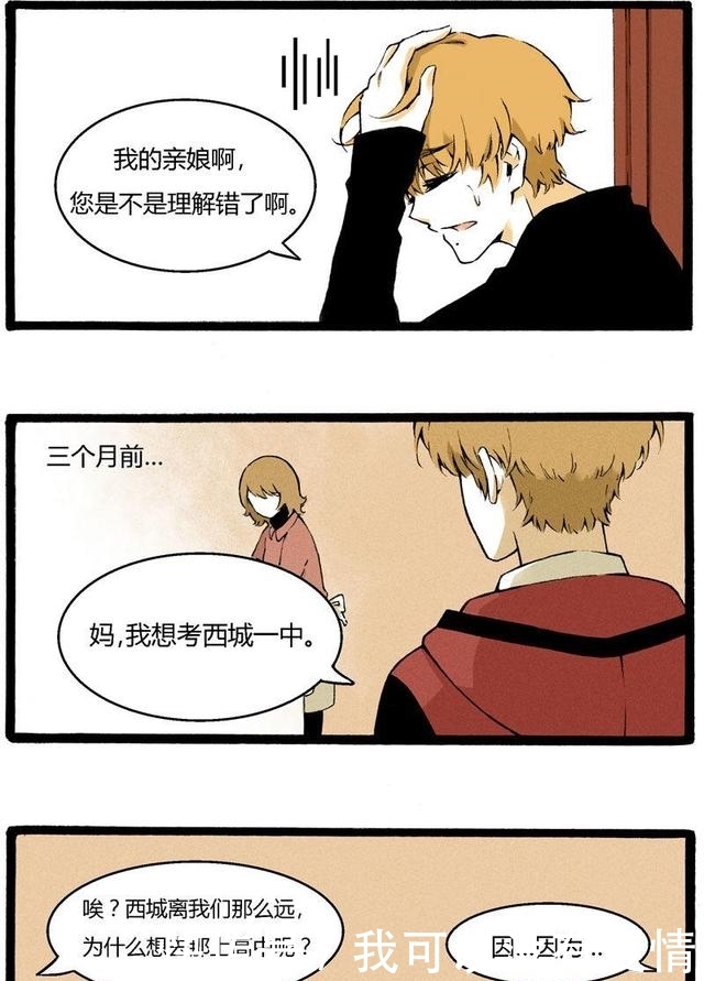 欧美精品综合少妇