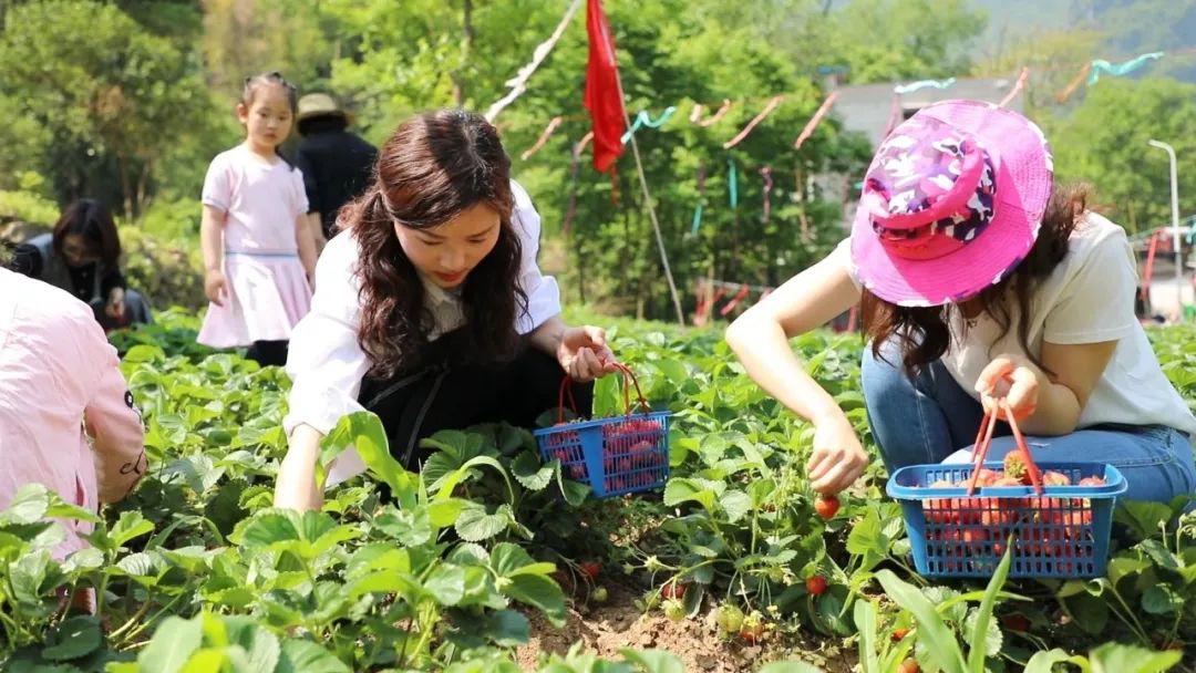 全网最幼 建议理性看待网络文化多元