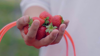 每日大赛网站在线入口