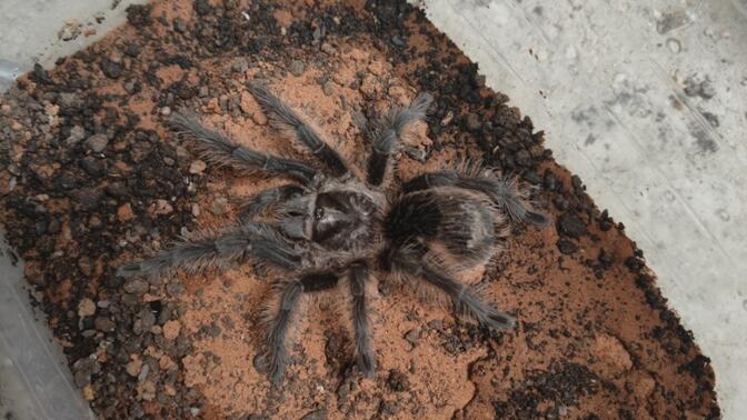 吃奶视频。 因为它可能涉及不同领域