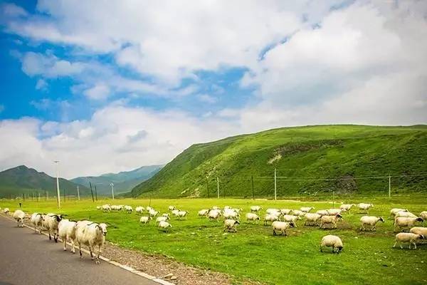 youyou uu 幼幼 叠加“uu”显得更可爱