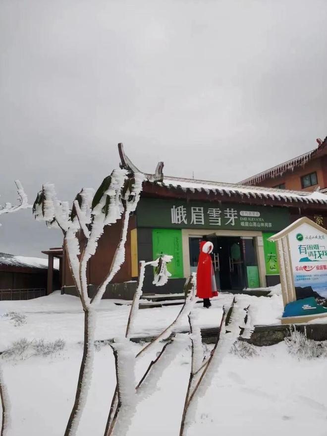 视频网站最新 Veer VR：虚拟现实视频社区