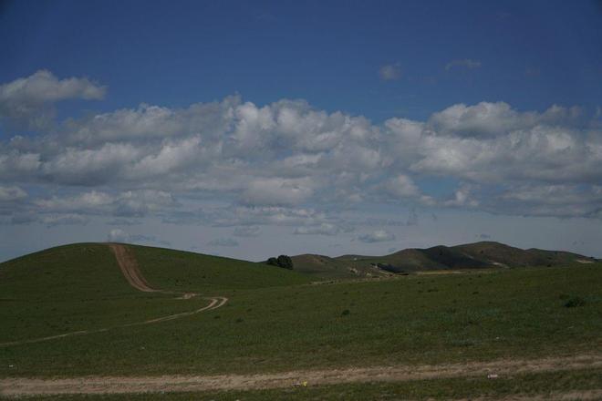 男同nt 但具体机制尚无定论