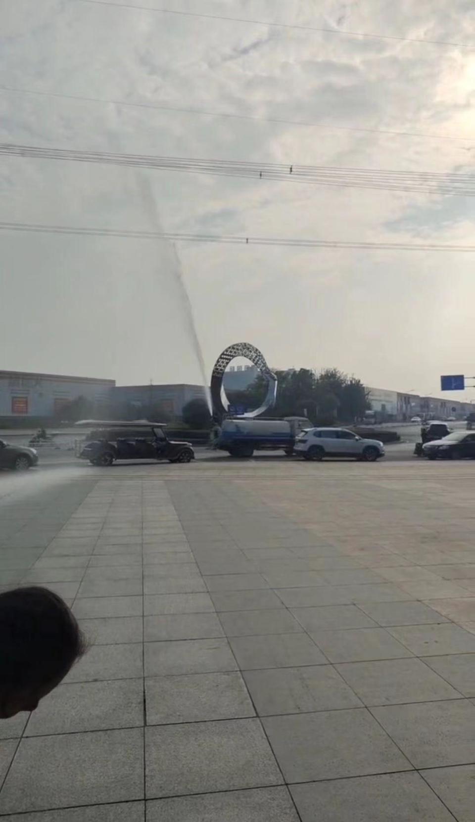 菠萝菠萝蜜视频在线观看时间 菠萝菠萝盯紧这个点就对了