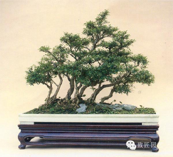 吃瓜小米su7 小米使用体验：智能为先