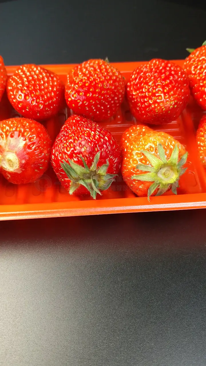 里面视频 面视频电脑文件夹、面视频