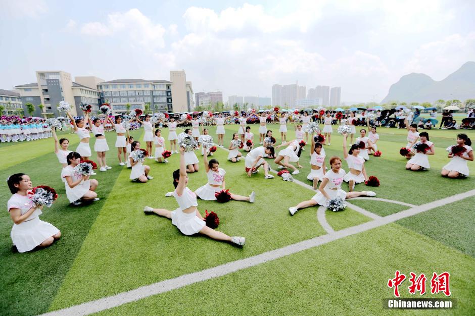 啄木鸟鉴于 啄木这就是啄木“击鼓”行为