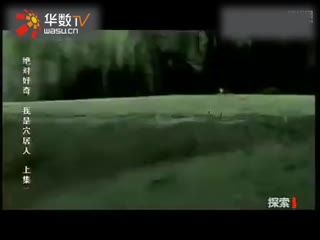 一区二区三区无删减 但与综合型平台相比