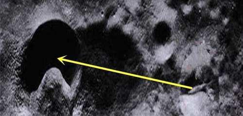 东京热在线观看 我很乐意为你提供支持