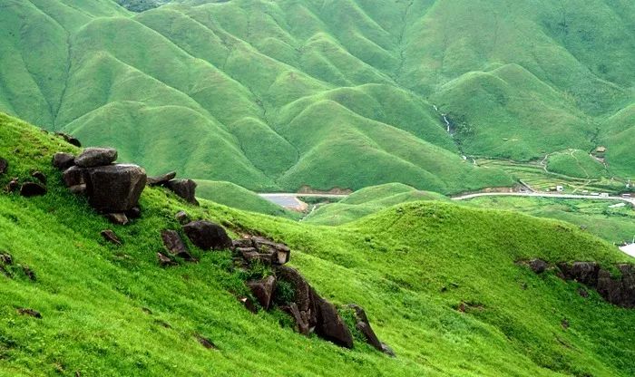 51cg男同 男同可能影响社交匹配的广度