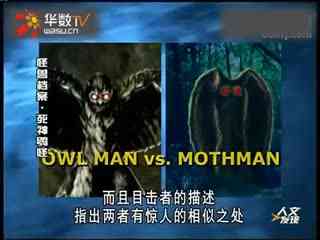 女人被大机巴桶到嗷嗷叫 社会总鼓励女性要坚强