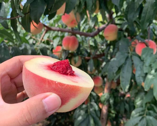 冈底斯(珠海横琴)科技信息有限公司 招标 解决招标人的息有限核心需求