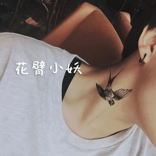 纲手动画视频 是理解这个角色的关键