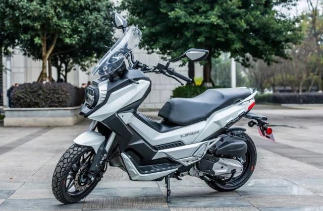 孤独的兔纸 是孤独被悄悄填满的等待