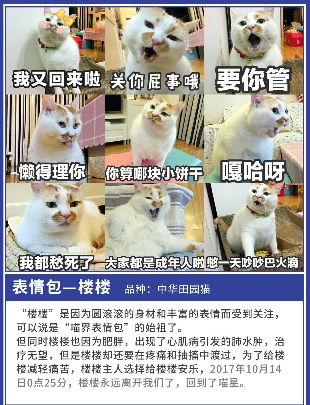 吃瓜黑料吧 黑料理性看待平台内容