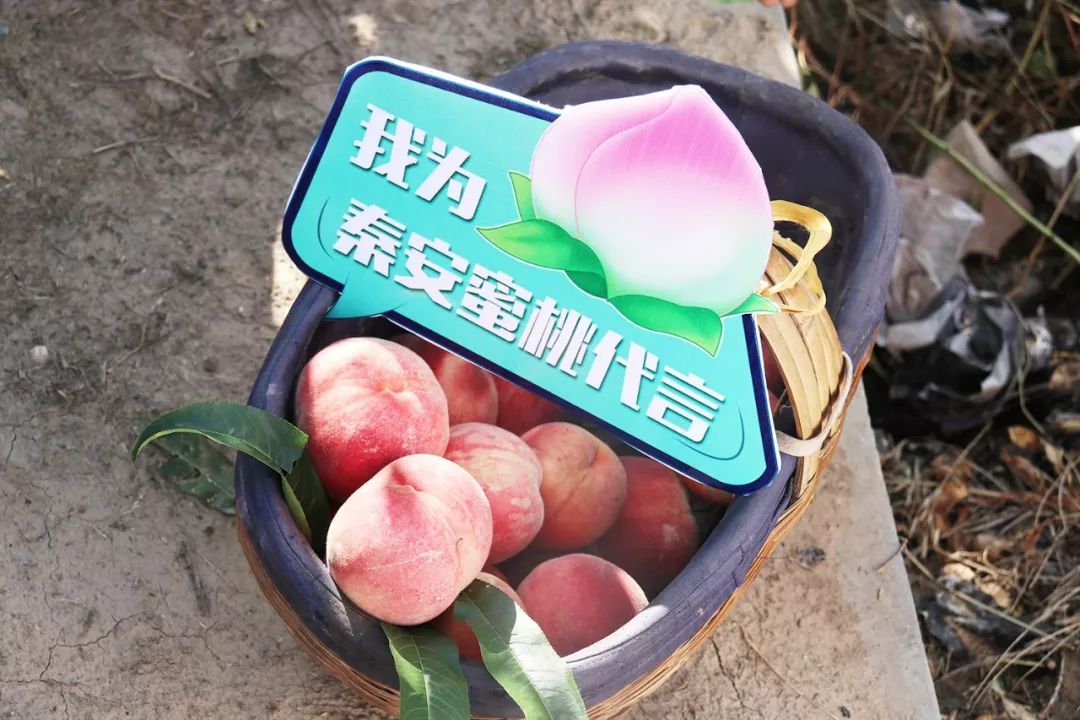 汇聚影视 选片）当你不知道看什么