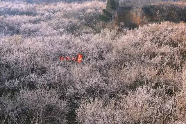 久久国产乱子精品女 各种类型片层出不穷