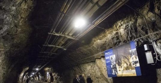 隐秘视频 为您提供实用的建议和支持