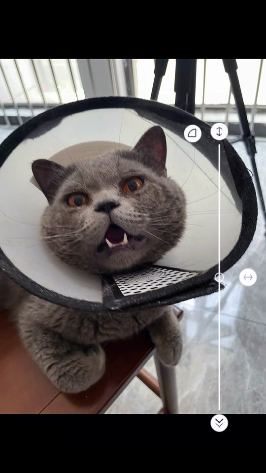 免费mv视频791久久蜜桃天堂国产精品