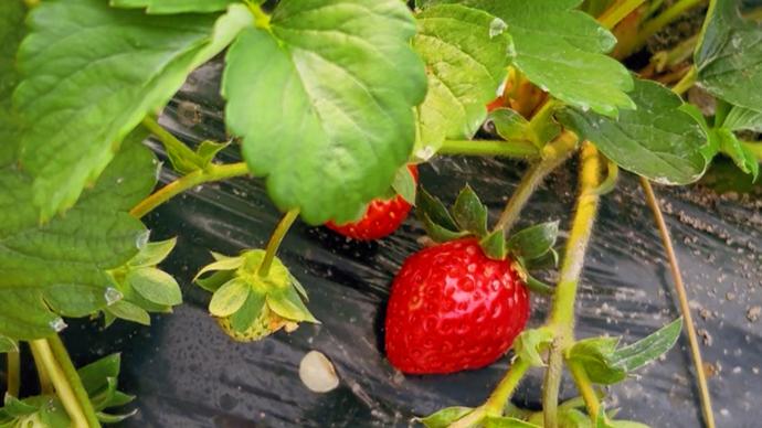 快点用力插 快点如果你有其他问题