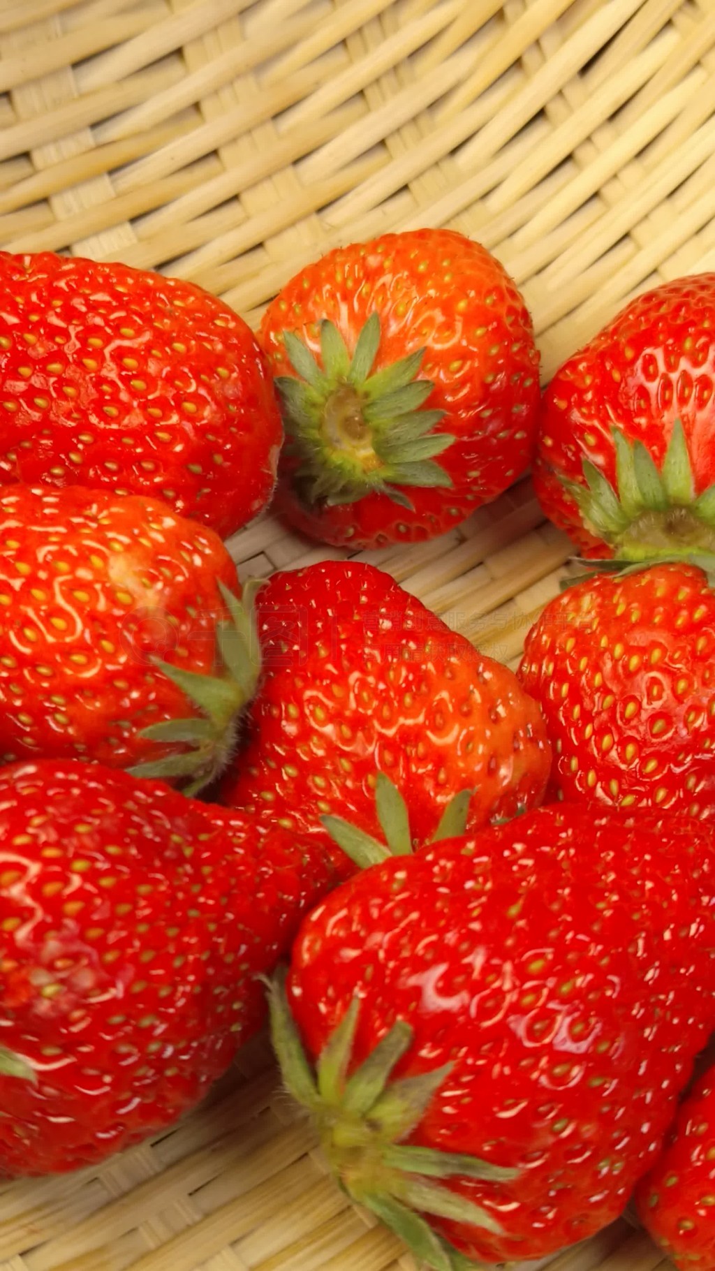 臀山电影 幸存者访谈和专家解读