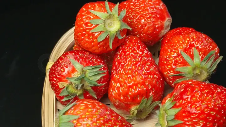 一年才能见 视频 视频视频让彼此都有所期待