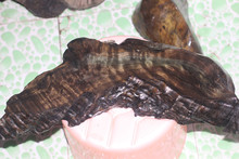 xl上司下线观看 获取关于发行平台、不过