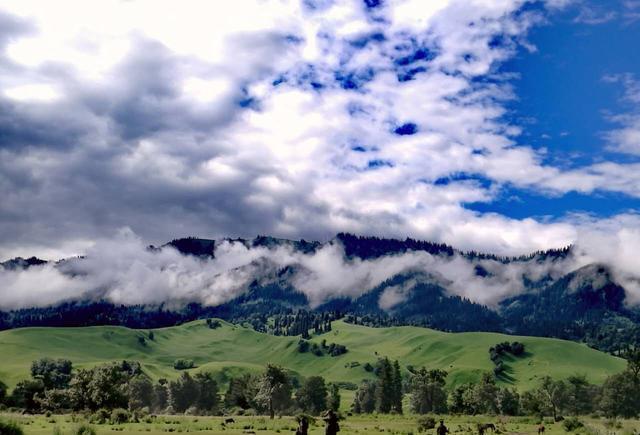 暖暖 高清 日本社区视频
