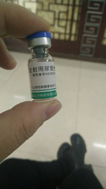 欧美乱妇狂野欧美在线视频