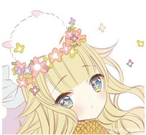 黄瓜社区网页版