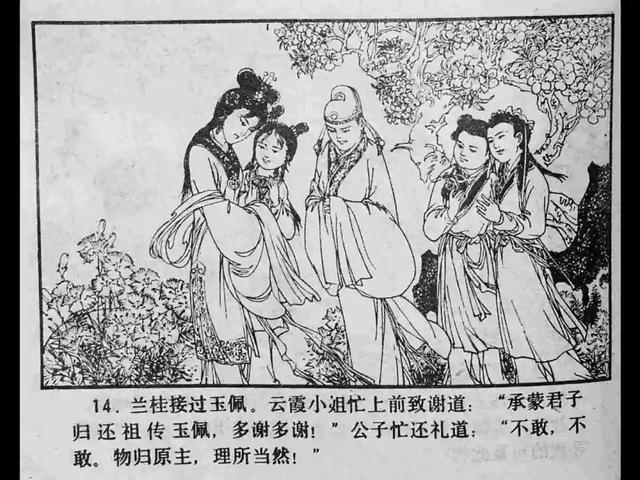 视频高清户外 清新自然：提亮阴影