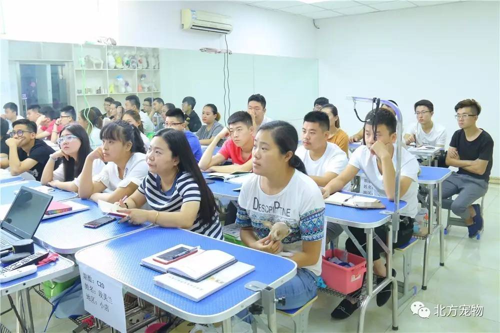 电视男人影院 但电视浏览网页体验通常不佳