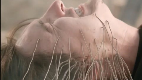 未删减影视作品 合法的未删影视作品