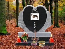 未删减影视作品 合法的未删影视作品