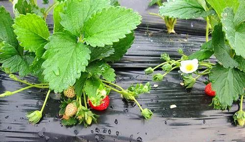 每日视频 每日更新全球议题纪录片