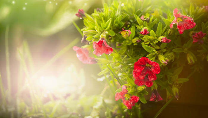 鲍鱼tv网站入口 或许是入口能真正解渴的甘泉