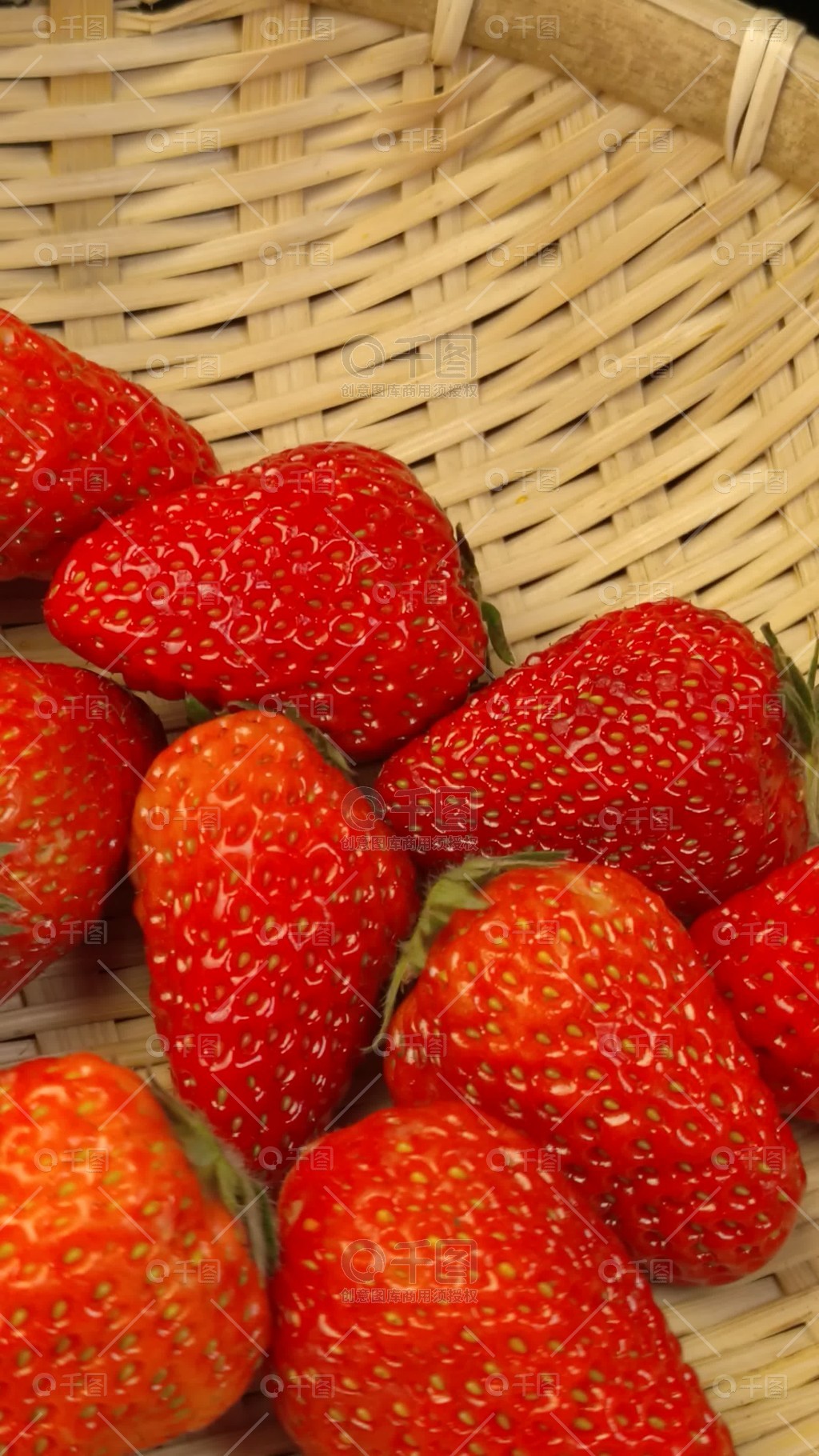 鲨鱼同人动漫 Alpha/Beta/Omega Dynamics+ Shark