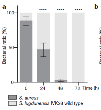 韩国和日本免费不卡在线